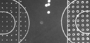 Microfluidic SPR Chip picture