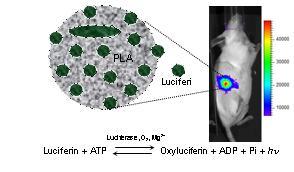 Nanoparticle picture 2