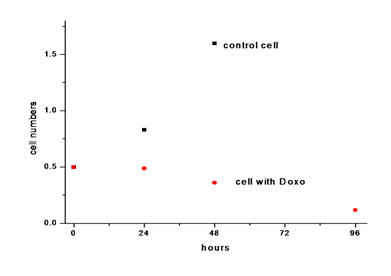 cell numbers