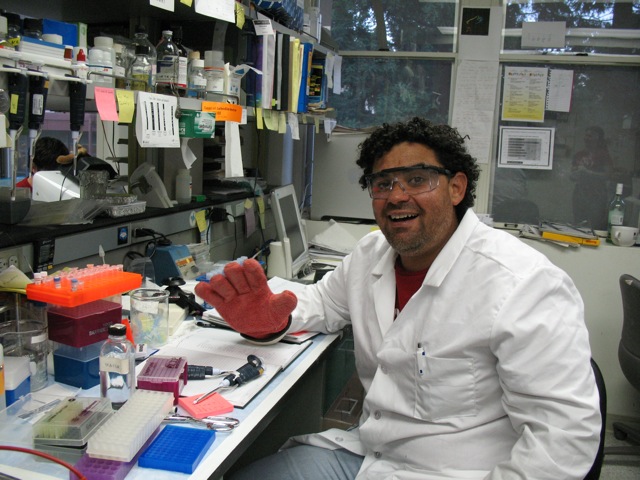 Chris Chavez