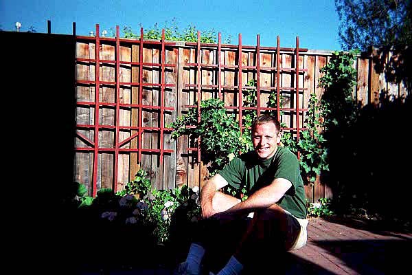 Yard.jpg (79405 bytes)