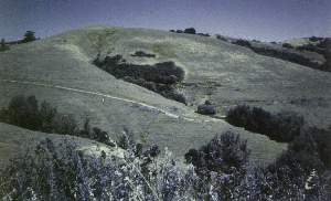 A
hillside seen from Alpine Road