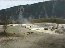 Mammoth Hot Springs